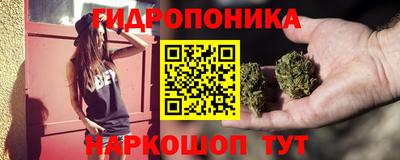 гашик Краснодар