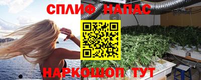 гашик Краснодар